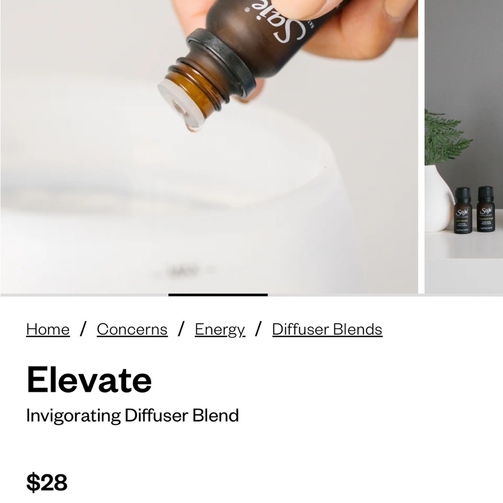 Elevate - Invigorating Diffuser Blend - Picture 7 of 7